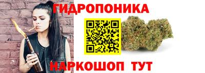 2c-b Можга