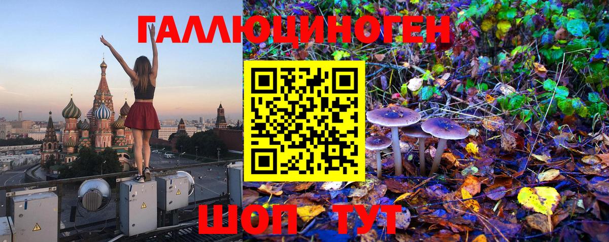 Галлюциногенные грибы Magic Shrooms  Псилоцибиновые грибы мухоморы  Воркута  Вход с VPN 