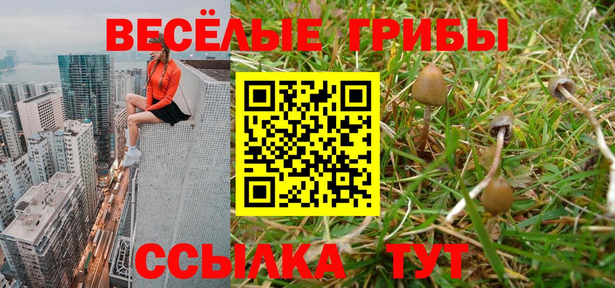 Галлюциногенные грибы Psilocybine cubensis Воркута