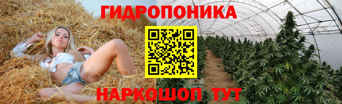 Конопля Bruce Banner  Каннабис White Widow  Воркута  Вход с VPN  МАРИХУАНА марихуана 